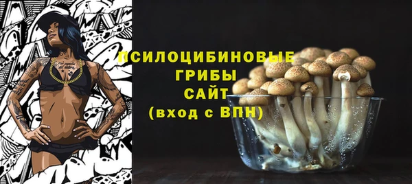 хмурый Алексин