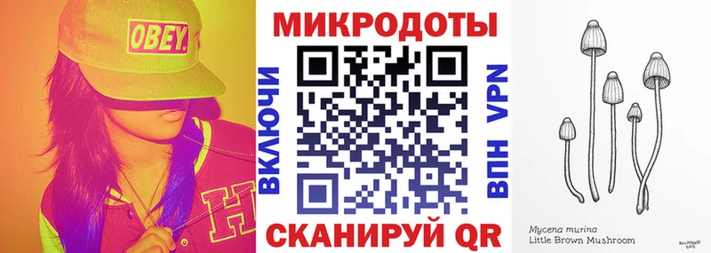Галлюциногенные грибы Psilocybe  Хвалынск 